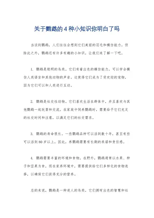 关于鹦鹉的4种小知识你明白了吗