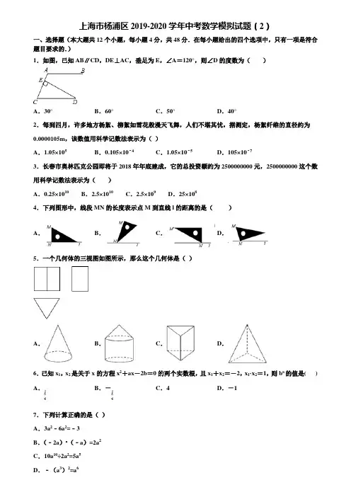 上海市杨浦区2019-2020学年中考数学模拟试题(2)含解析