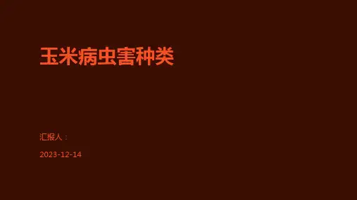 玉米病虫害种类