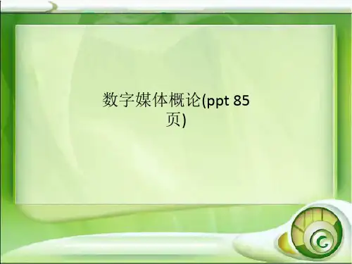 数字媒体概论(ppt 85页)