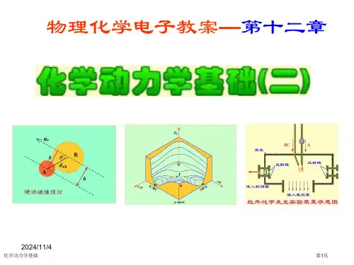 化学动力学基础专家讲座