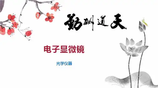 电子显微镜      