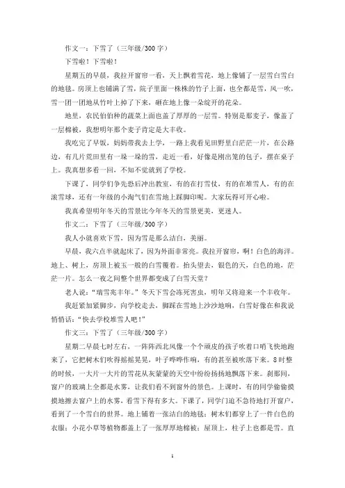 精选下雪了三年级作文300字