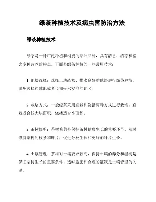 绿茶种植技术及病虫害防治方法