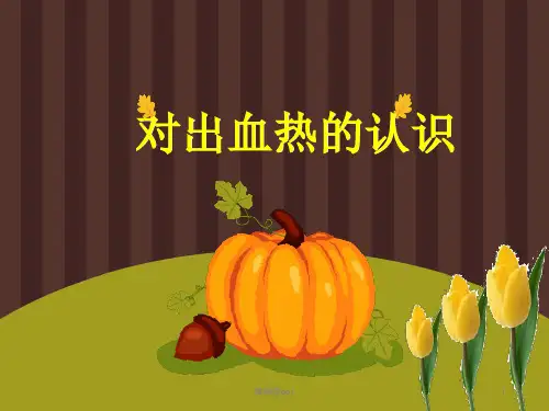 出血热PPT课件