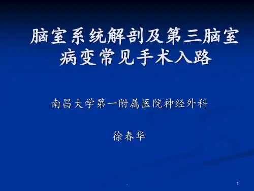 脑室系统解剖及第三脑室手术入路PPT课件