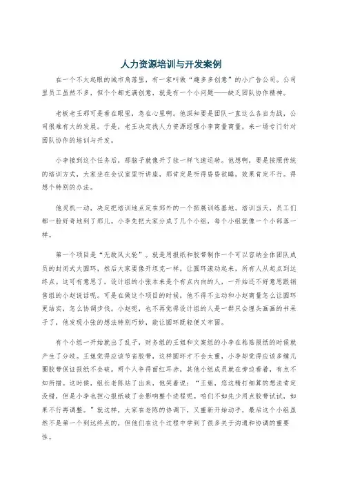 人力资源培训与开发案例