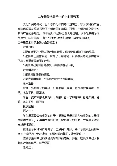 二年级美术叶子上的小血管教案