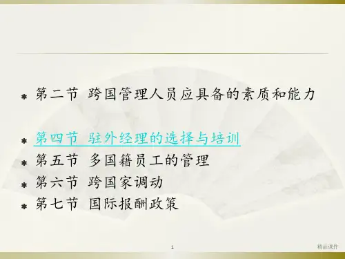 第八章跨国公司人力资源管理ppt课件
