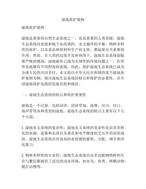 湿地保护案例