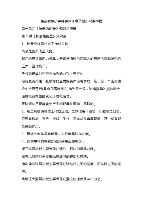 新苏教版小学科学六年级下册知识点梳理