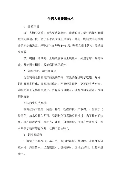 蛋鸭大棚养殖技术