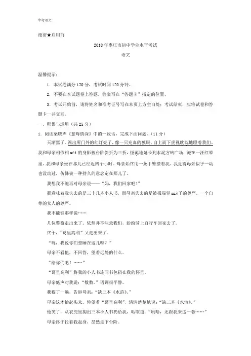山东省枣庄市2018年中考语文试题(含答案解析)