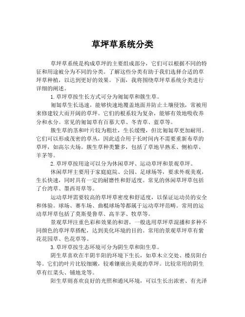 草坪草系统分类