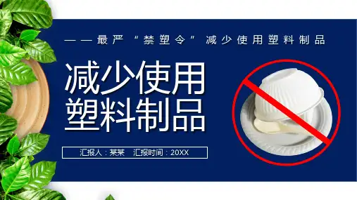 减少塑料制品使用PPT课件