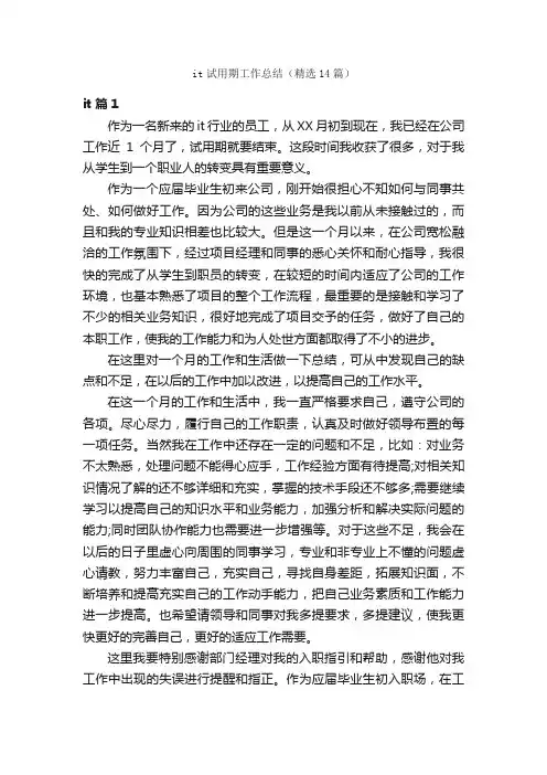 it试用期工作总结（精选14篇）