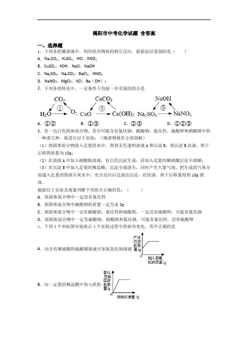 揭阳市中考化学试题 含答案