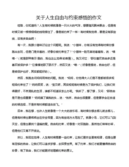 关于人生自由与约束感悟的作文