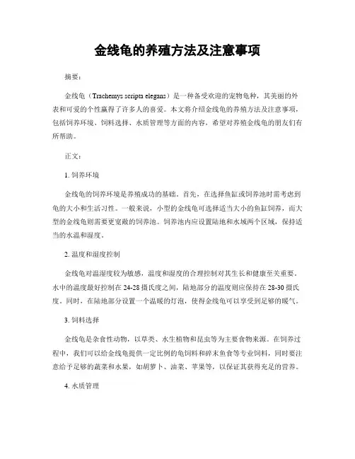 金线龟的养殖方法及注意事项
