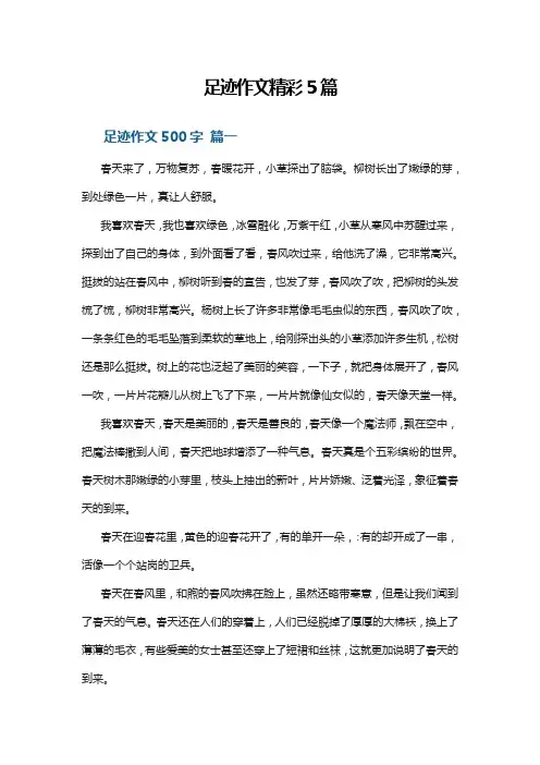 足迹作文精彩5篇