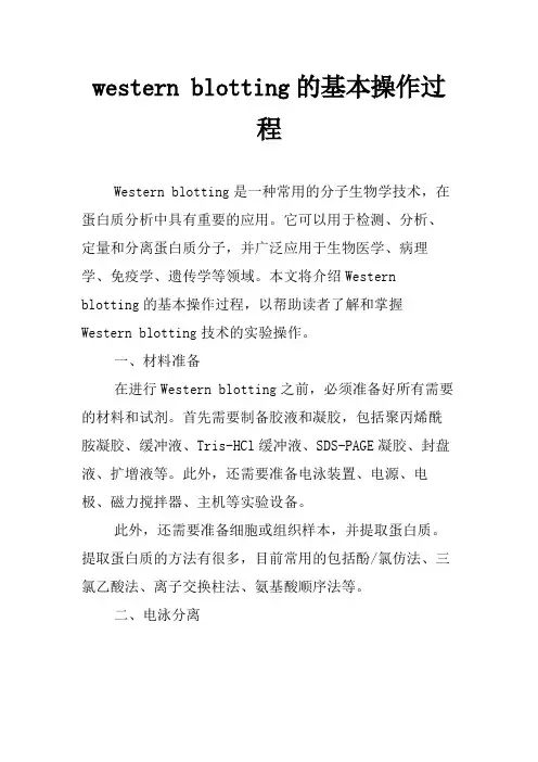 western blotting的基本操作过程