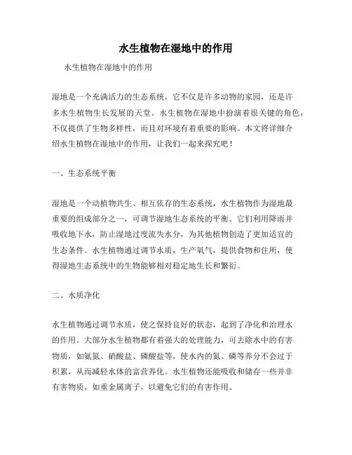 水生植物在湿地中的作用