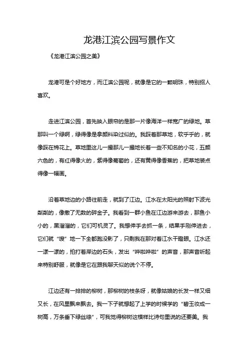 龙港江滨公园写景作文