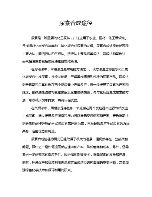 尿素合成途径