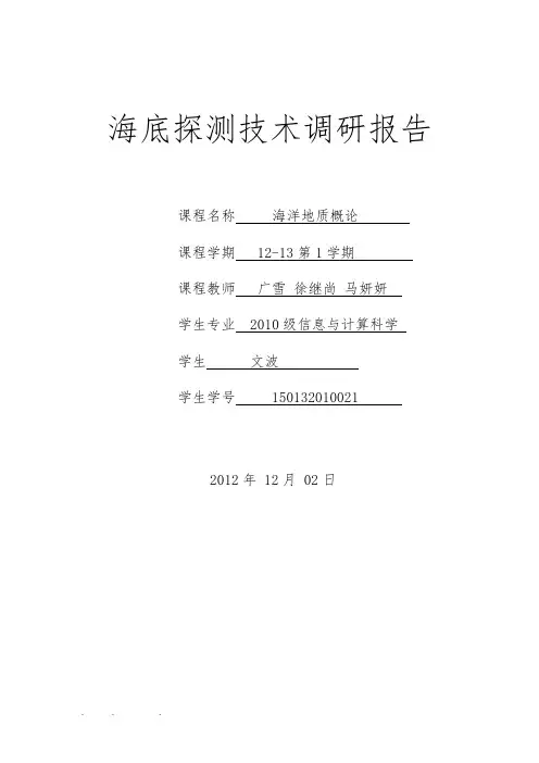 海底探测技术调研报告书