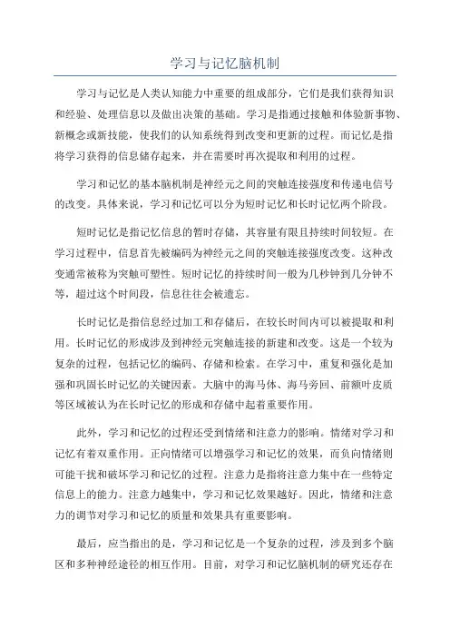 学习与记忆脑机制