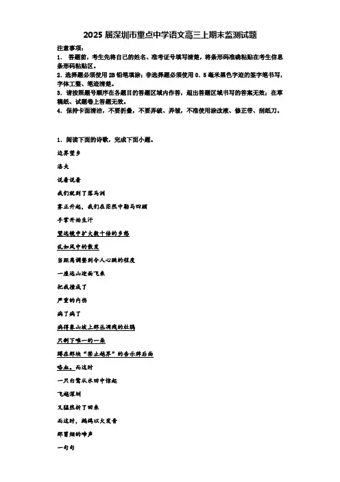 2025届深圳市重点中学语文高三上期末监测试题含解析