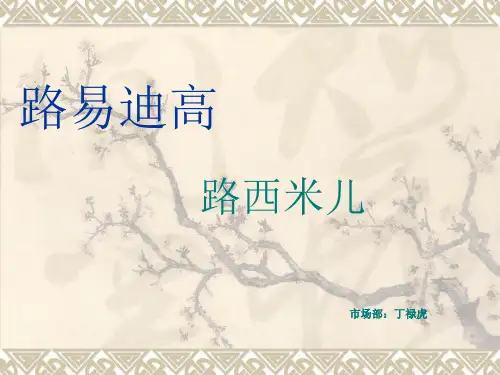 招商流程MicrosoftPowerPoint演示文稿ppt课件