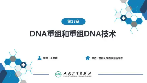 生物化学和分子生物学(人卫第九版)_23DNA重组和重组DNA技术