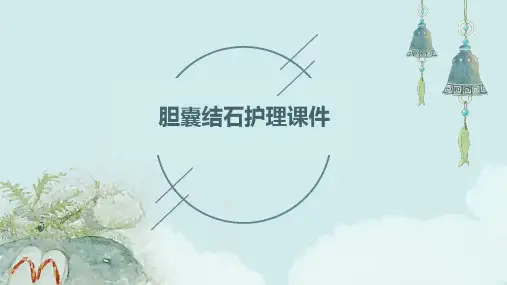 胆囊结石护理课件