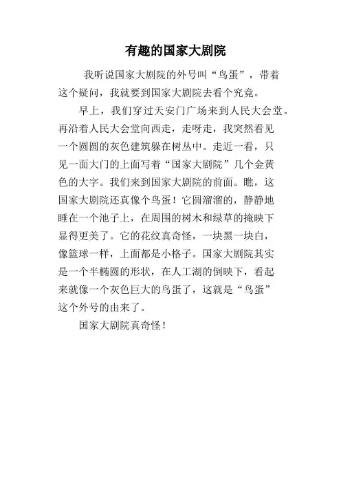 有趣的国家大剧院