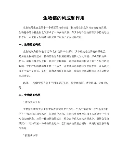生物链的构成和作用