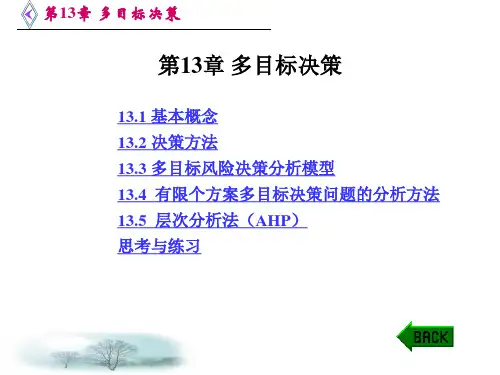 第13章-多目标决策PPT课件