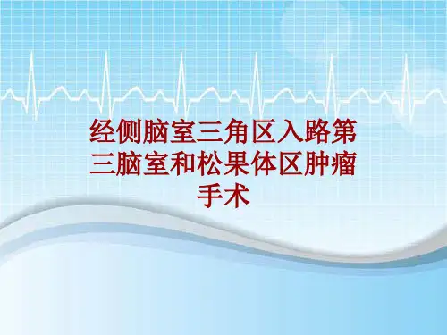 手术讲解模板：经侧脑室三角区入路第三脑室和松果体区肿瘤手术
