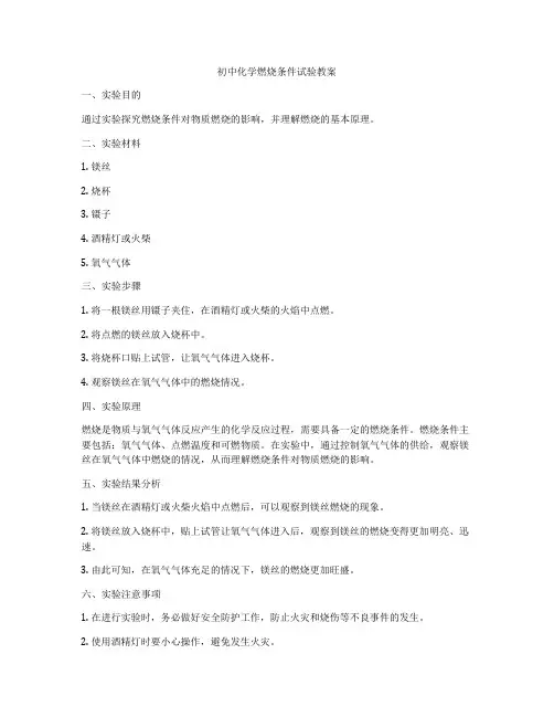 初中化学燃烧条件试验教案