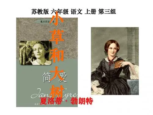 9小草和大树PPT课件