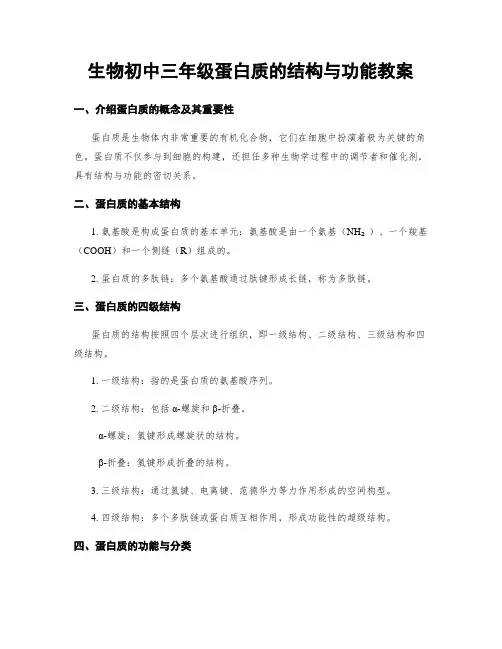 生物初中三年级蛋白质的结构与功能教案