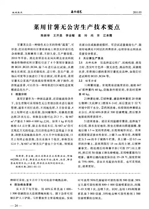 菜用甘薯无公害生产技术要点