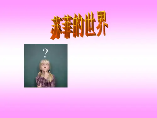 苏菲的世界PPT