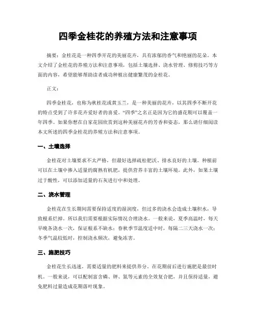 四季金桂花的养殖方法和注意事项