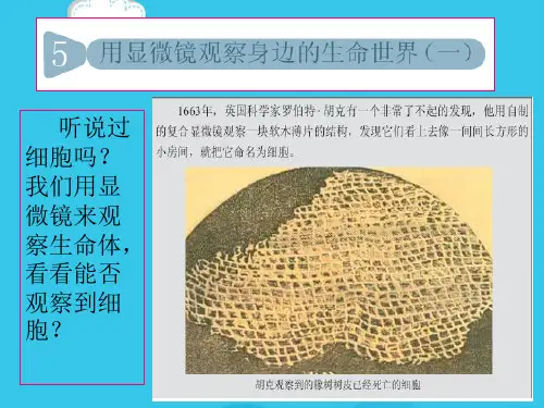 教科版科学六级下册《用显微镜观察身边的生命世界》(实用资料)ppt