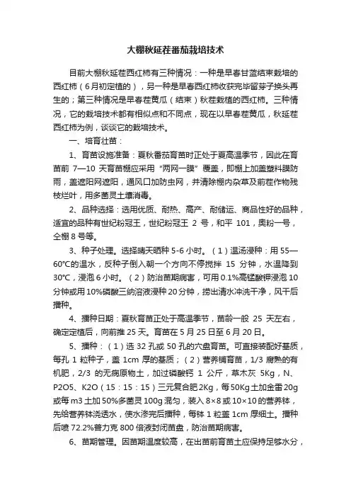 大棚秋延茬番茄栽培技术