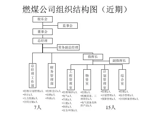 北大纵横巴蜀江油燃煤1123汇报