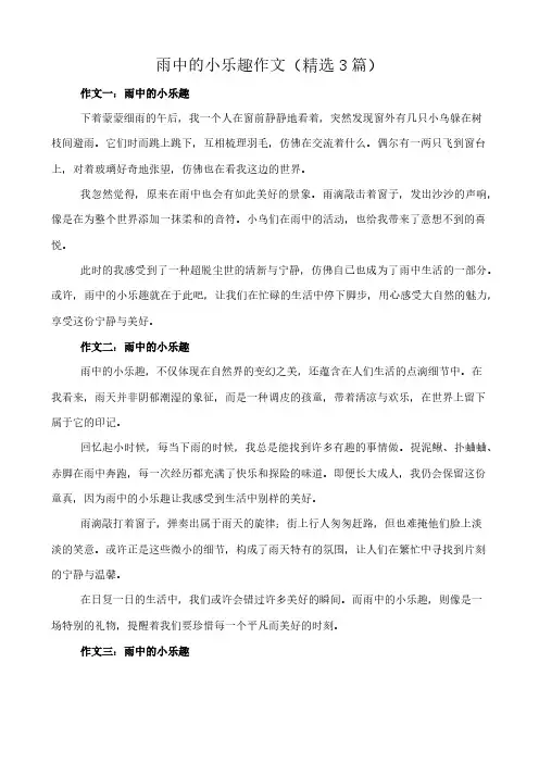 雨中的小乐趣 作文(精选3篇)