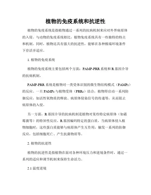 植物的免疫系统和抗逆性
