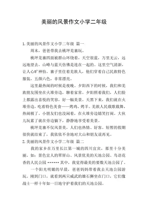 美丽的风景作文小学二年级